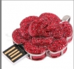 Pendrive SPb-50