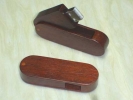 Pendrive SPd-38