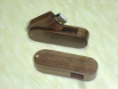 Pendrive SPd-40